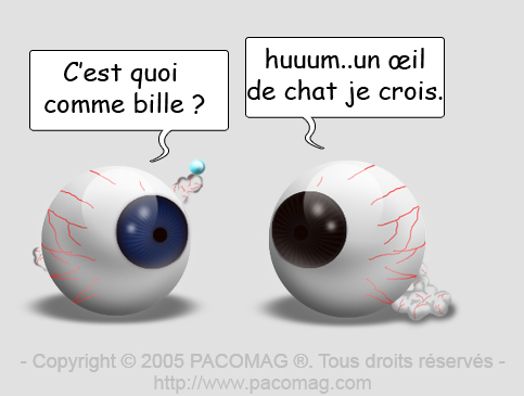 oeil de chat